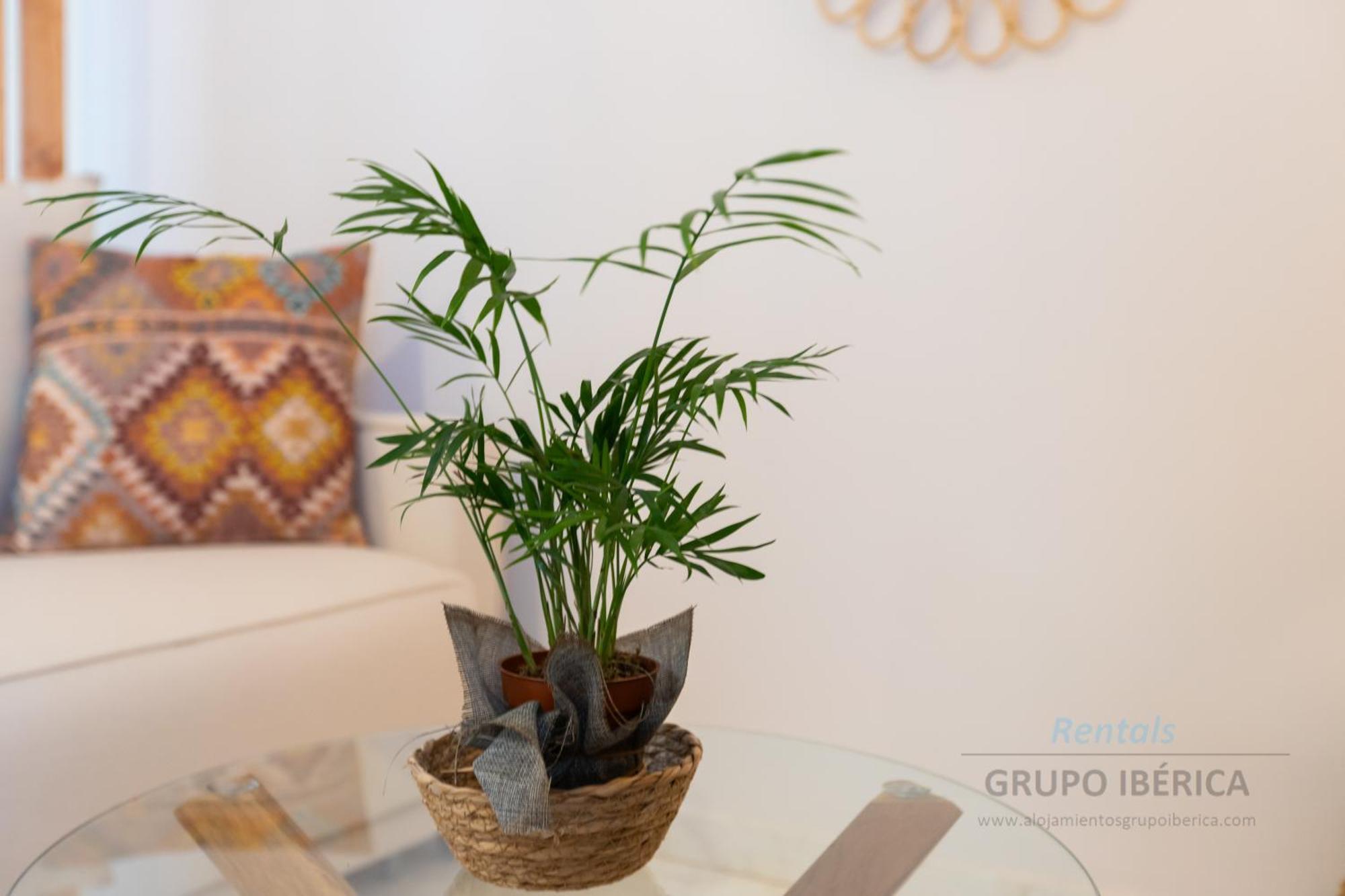 Apartment Loma Del Colegial Torremolinos Eksteriør billede
